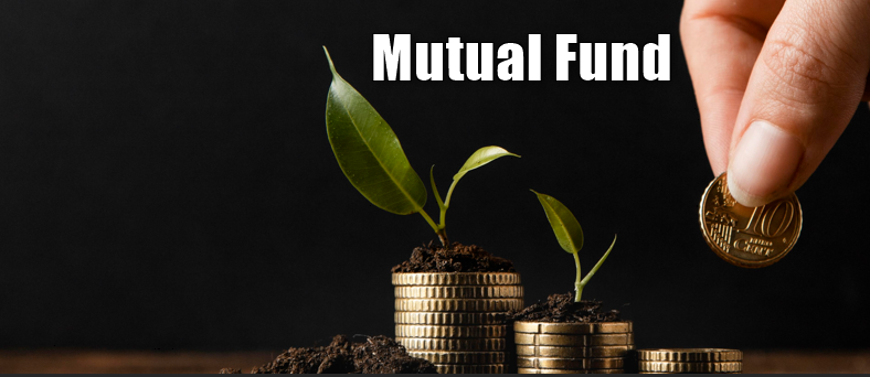 Read more about the article What is Mutual Fund?